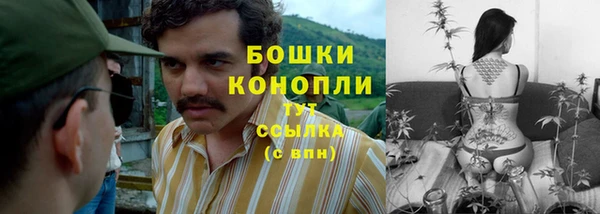 COCAINE Богданович