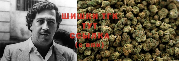 мдпв Богородицк